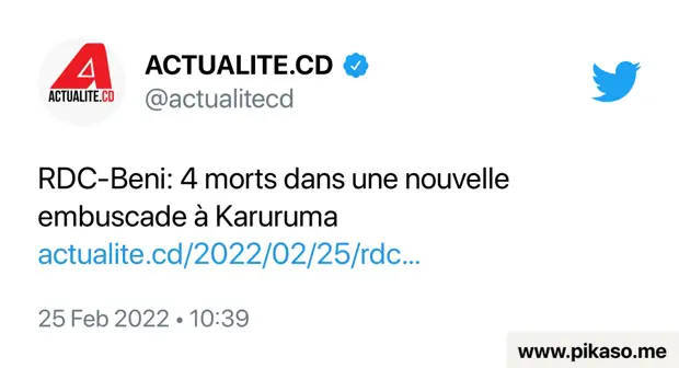 4 человека убиты при нападении повстанцев на дороге в Каруруме в Демократической республике Конго
