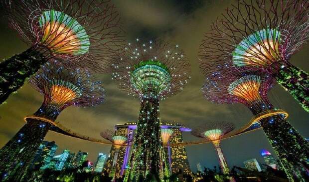 32. Singapore : The Park Gardens by the Bay