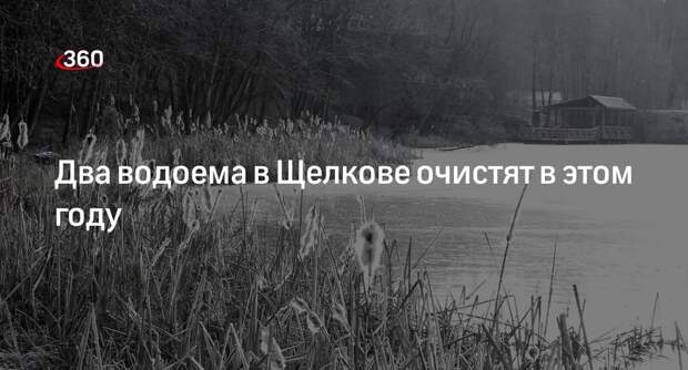 Два водоема в Щелкове очистят в этом году