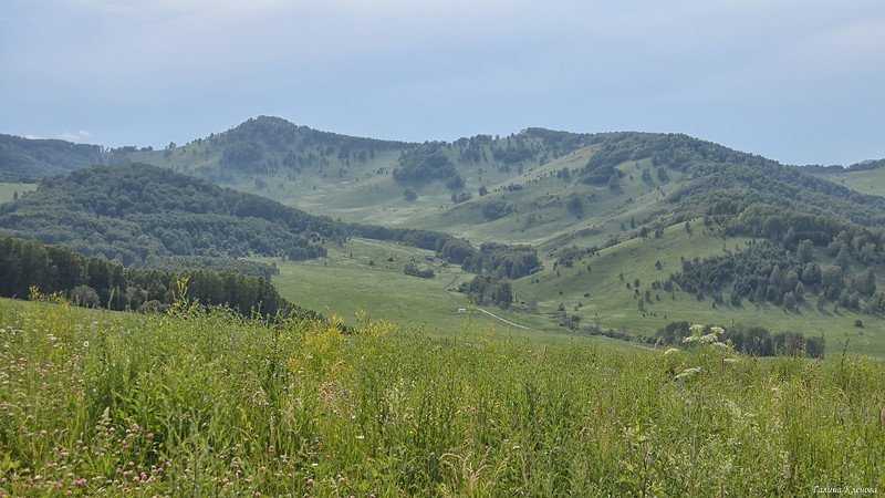 Горный Алтай, июнь путешествия, факты, фото