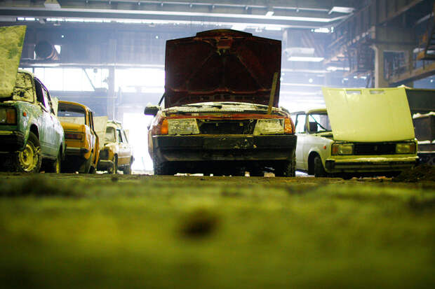 _MG_2493.jpg