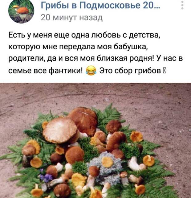 Бумажная семья какая-то