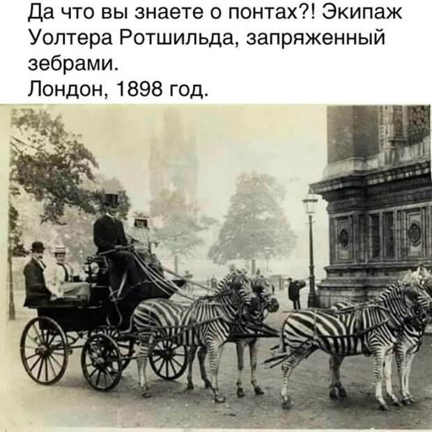 Подборка картинок. Вечерний выпуск (20 фото)