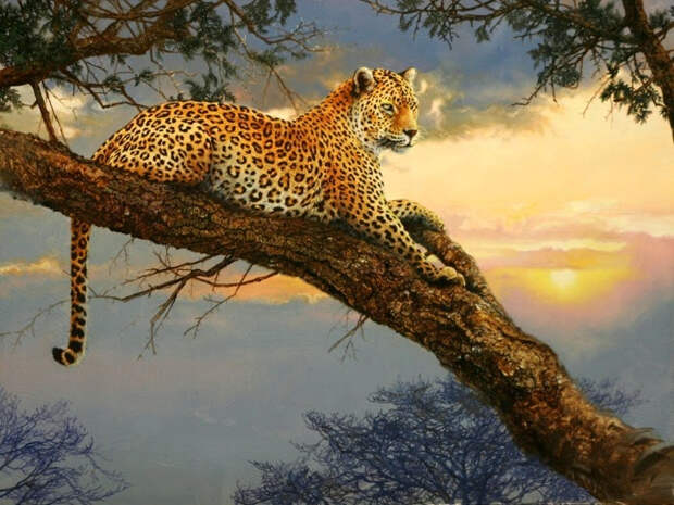 Животные дикого мира художника Mark Kelso