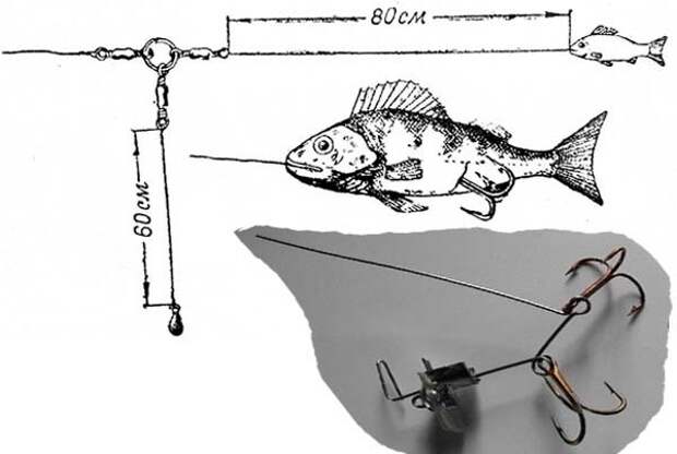 Извлечение крючка из пасти щуки иллюстрации, крючок, рыба, рыболов, фото, щука