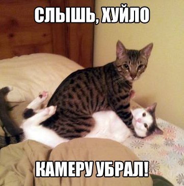 Всяко - разно 11 ))) Всяко - разно 11 )))