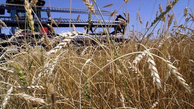 Почему 26 марта нужно печь пироги, наблюдать за птицами и мазать пни медом?