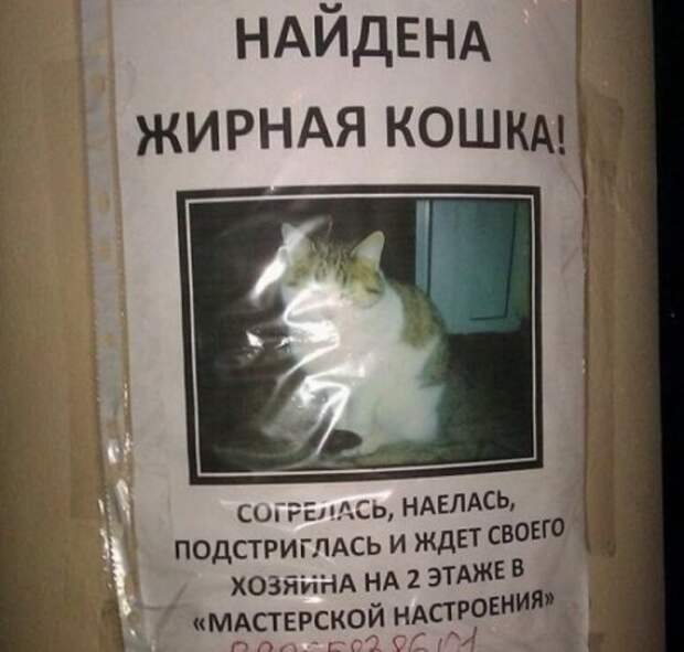 Смешные и прикольные объявления, вывески и надписи (19 фото)