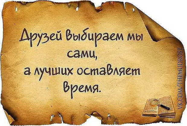 Трезвые мысли в картинках Трезвые мысли в картинках