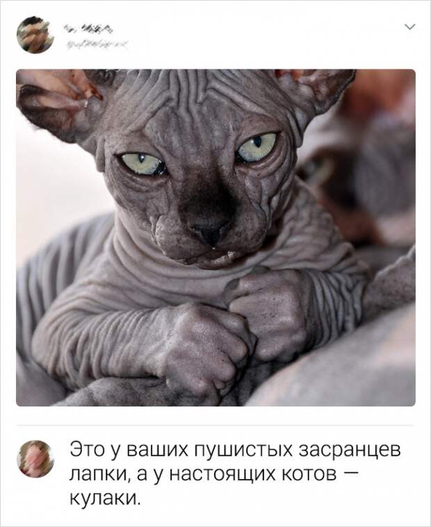 Забавные комменты от пользователей сети с интересными взглядами на мир Забавные комменты от пользователей сети с интересными взглядами на мир