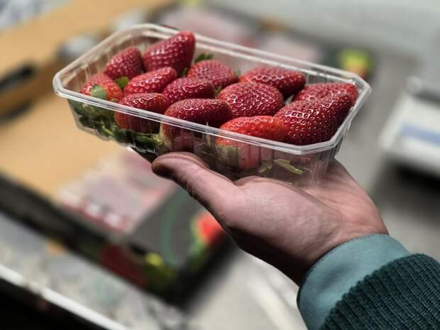 В канун Нового года в Петербург привезли первые 4,5 тонн египетской клубники