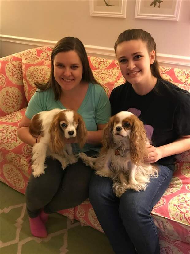 dog-doppelgangers-today-inline-004-180309_951dc2c70e815c613faab53835fa7dd9.fit-560w