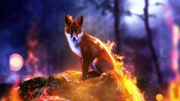 Пожарный Малой