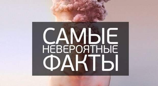 ТОП-40 самых невероятных фактов. Об этом вам больше никто не расскажет!