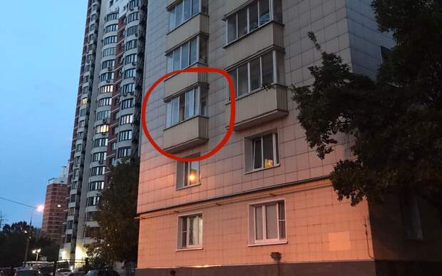 На Карамышевской набережной с третьего этажа выпала кошка
