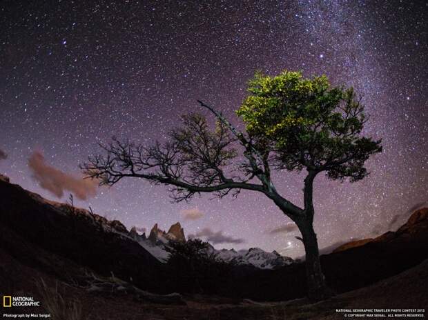 natgeowllppr20 natgeowllppr20 990x742 Обои для рабочего стола от National Geographic за июнь 2013