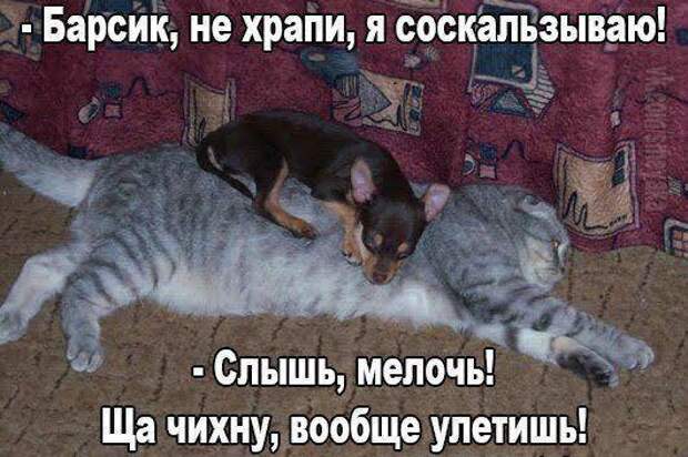 Лучшие свежие картинки с надписями (среда)
