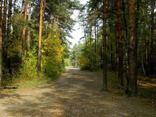 Интересные факты о Челябинске (9 фото)
