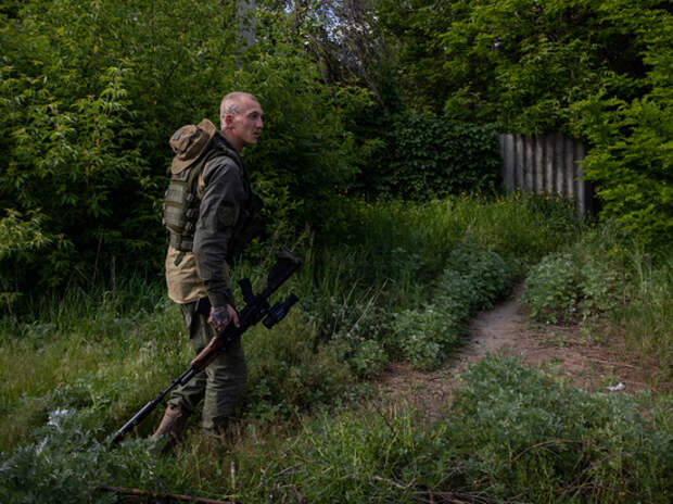 Британцев массово возмутила жестокость украинских боевиков, убивающих мирных граждан