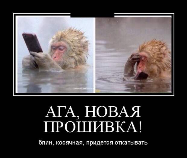 Демотиваторы