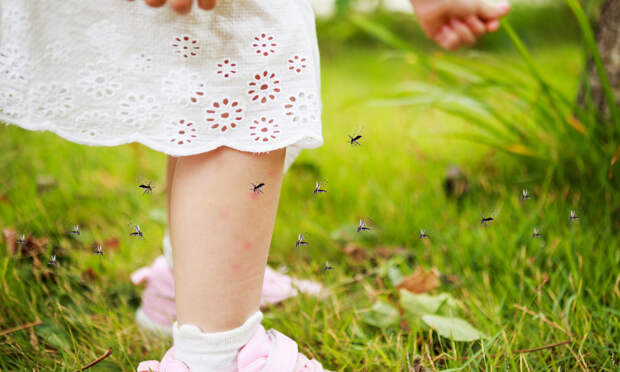 Как защитить ребенка от комаров и мошек дома и на природе