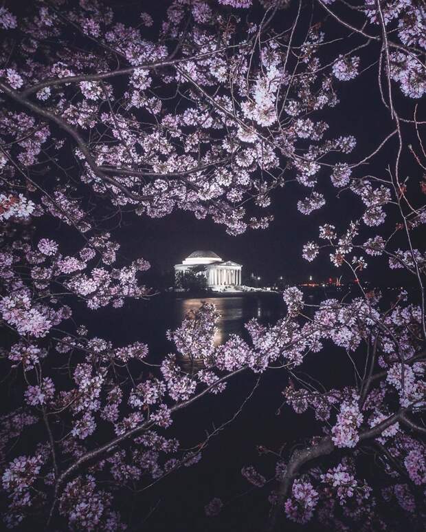 Чудесные снимки, сделанные в разных уголках нашей красивой планеты