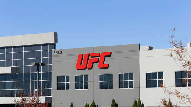 Царукян шокировал блогера из США, рассказав, что в России бесплатно смотрят UFC