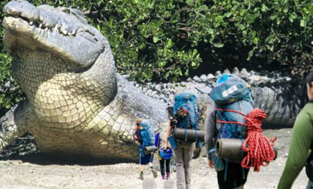 5 крокодилов-гигантов: они выросли до размера динозавров