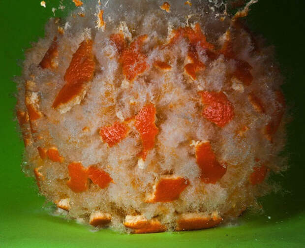 Взрывающиеся фрукты и овощи