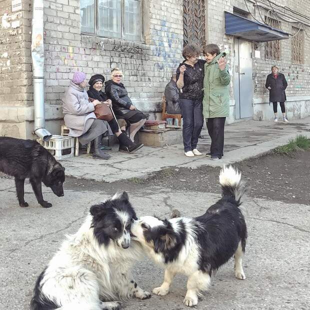 Российская провинция: серия фотографа-документалиста