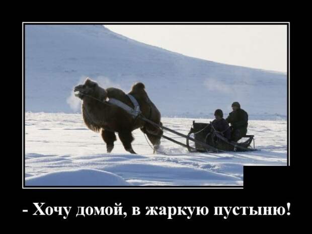 Демотиваторы