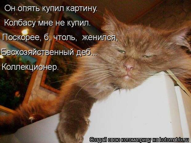 Лучшие котоматрицы недели (50 фото) Лучшие котоматрицы недели (50 фото)