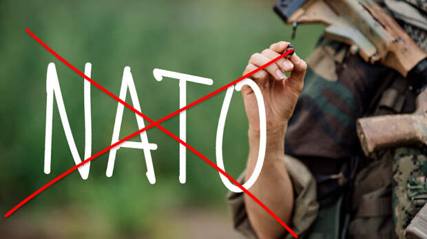 Ещё и спасибо скажут. Реформировать НАТО будет Шойгу