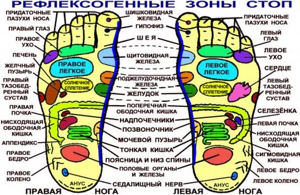 две стопы