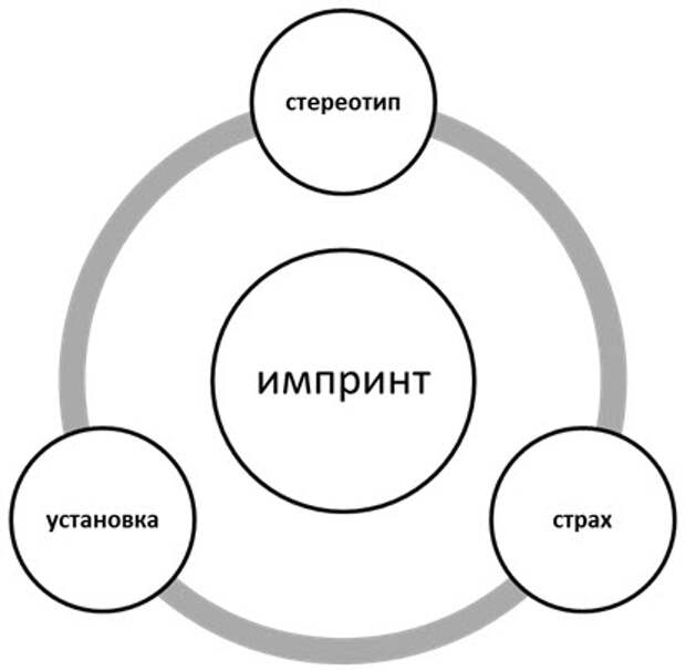 Избавляемся от комплексов - структура комплекса Избавляемся от комплексов - структура комплекса