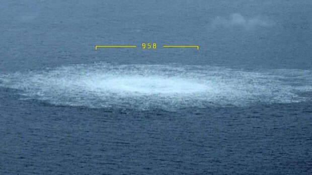 В Госдуме назвали решение суда ФРГ по делу о «Северных потоках» трусливым