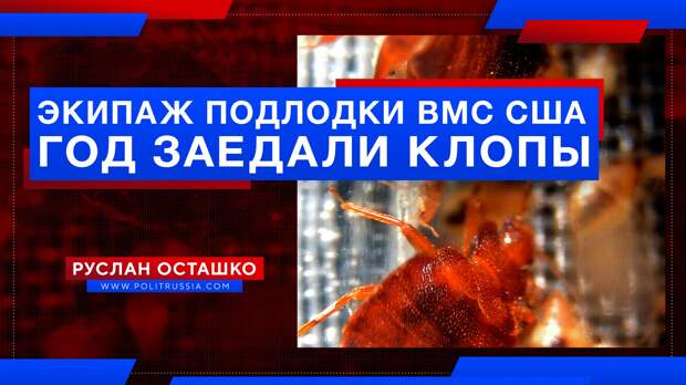 Экипаж атомной подлодки ВМС США год заедали клопы