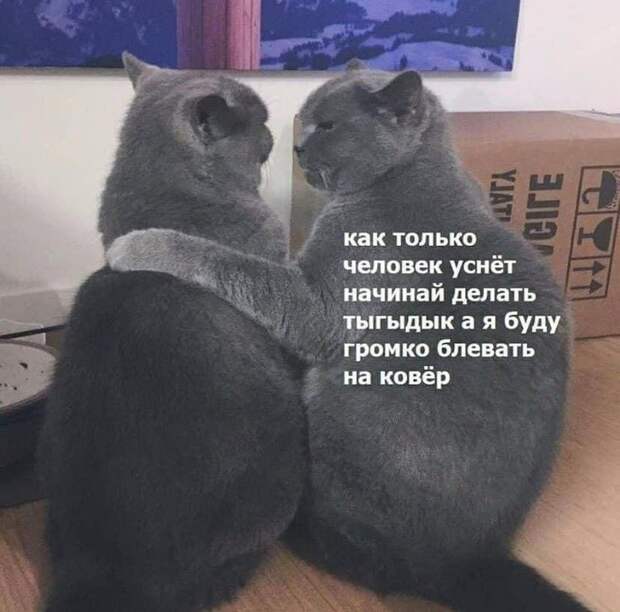План План