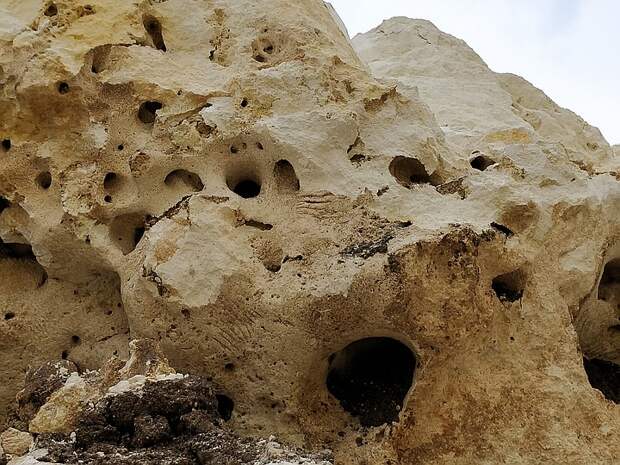 Если присмотреться, можно увидеть царапины на каменных сводах. Это следы от когтей животных, которые угодили в пещеру и пытались из нее выбраться.