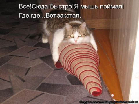 Котоматрицы