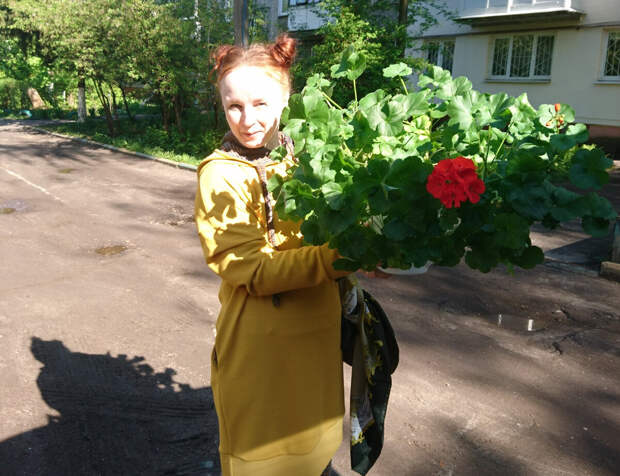 Обычно после новогодних праздников квартиры переходят в режим "красных окон". Это как условный сигнал: "здесь живет дачник ".-8
