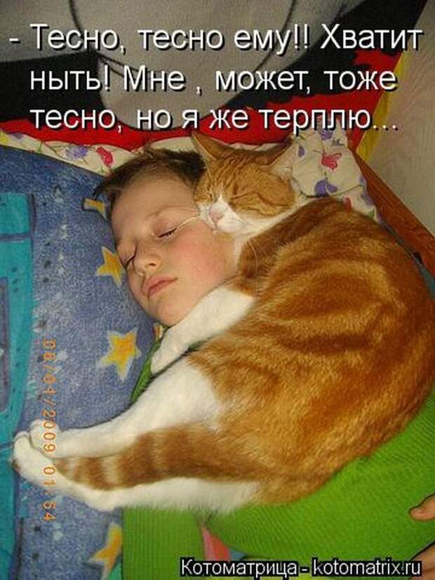 Лучшие котоматрицы недели Лучшие котоматрицы недели