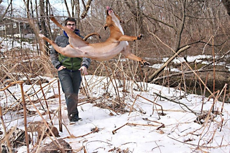 прикольные фотографии