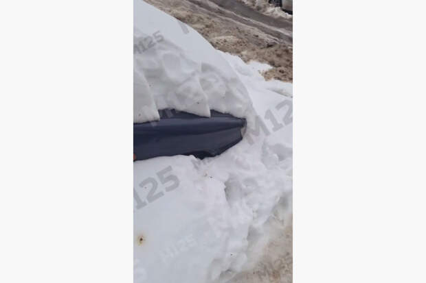 Необычный «подснежник» в Москве сняли на видео