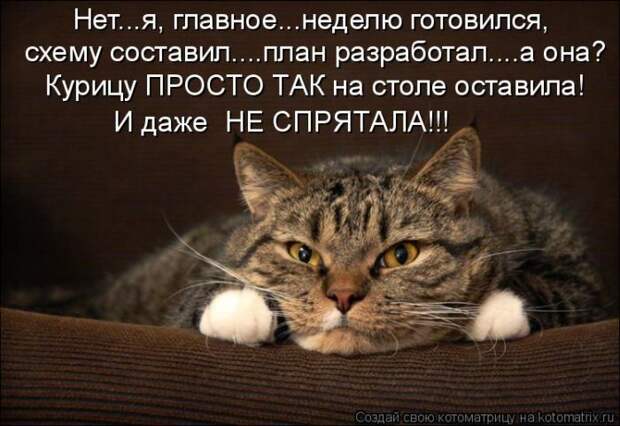 Лучшие котоматрицы недели (50 фото) Лучшие котоматрицы недели (50 фото)
