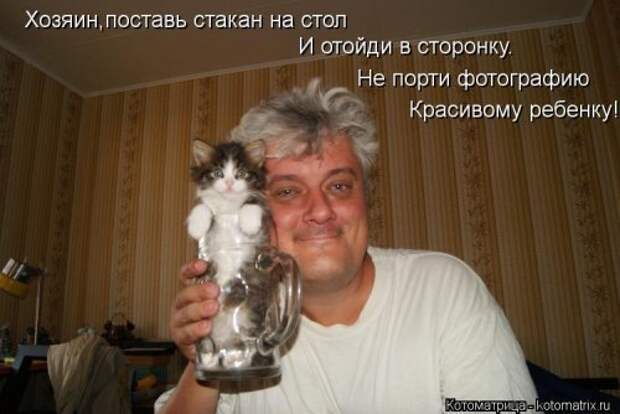 Новый сборник свежих котоматриц (30 шт)