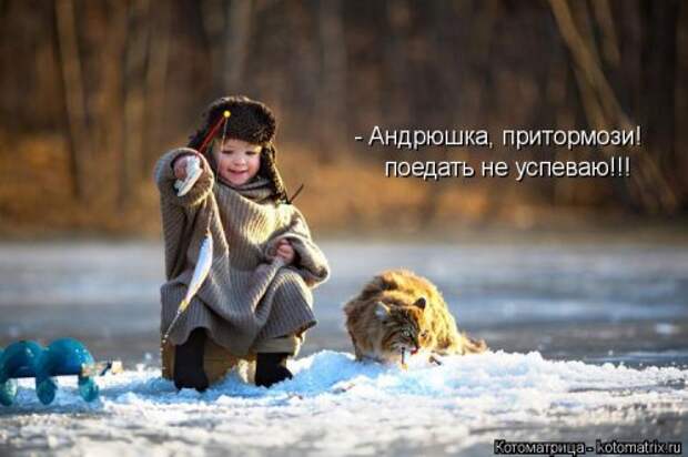 Новая котоматрица (37 шт)