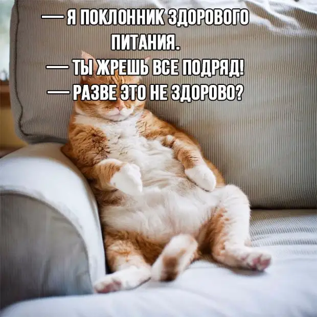 Звонит телефон. В трубке раздаётся приятный женский голос. 
