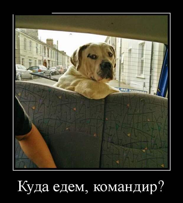 Забавные и веселые демотиваторы на выходные (11 фото) Забавные и веселые демотиваторы на выходные (11 фото)