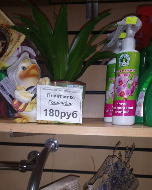Сама беспалевность, или как все делать незаметно